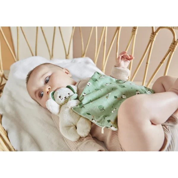 Kaloo Doudou Dog Green Discount