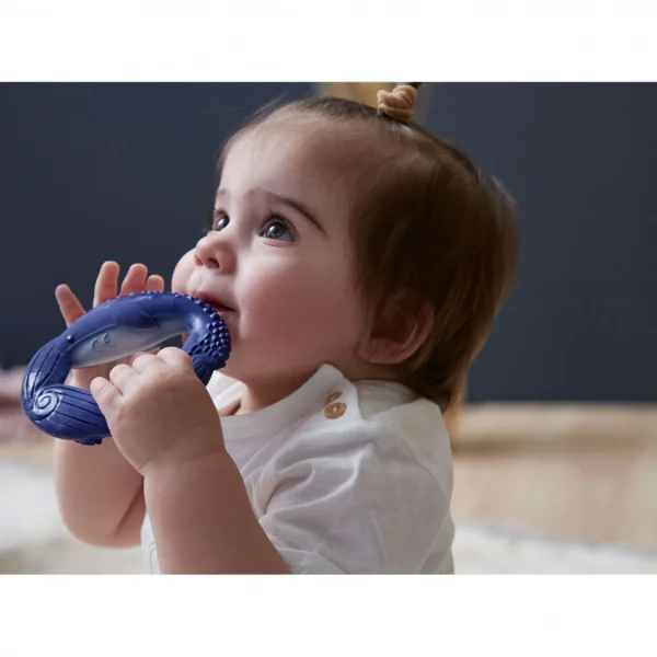 Kaloo Teether Whale New